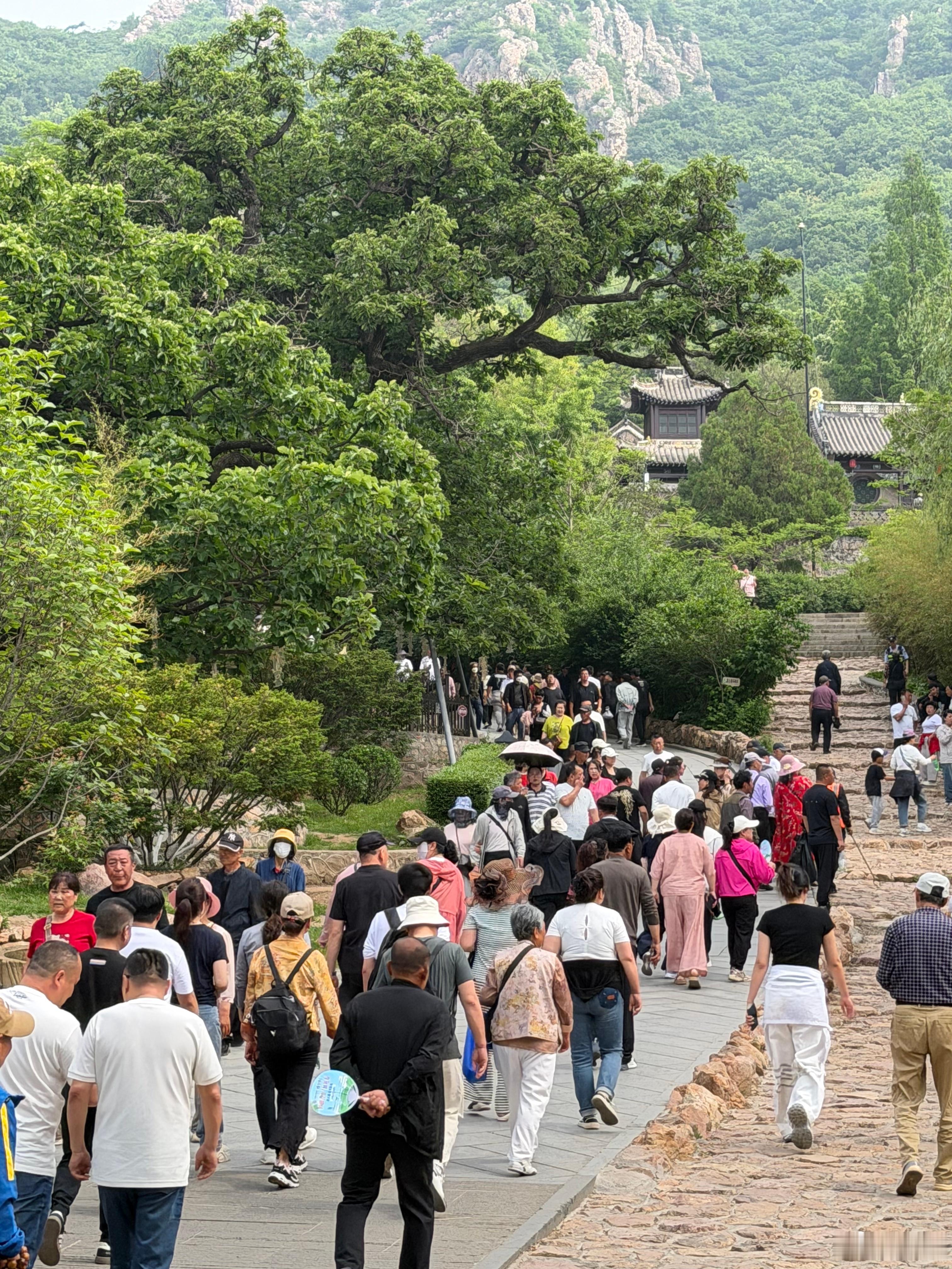 端午的意义，其实很适合大孤山来承接。一个是古老节日里的安康愿望，一个是辽东福地里
