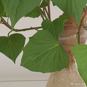 每日一善[超话]‍每日一善 每一个清晨，记得告诉自己：没有奇迹，只有你努力的轨迹