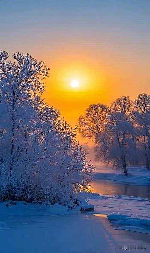 晨光破雾映霜眉，
岁月如歌且慢随。
莫道桑榆霞色晚，
心宽便是好春时。
友友早上