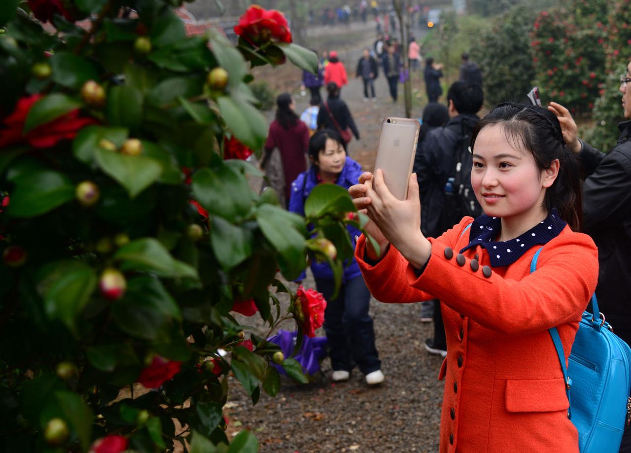 京山：相约春天  繁花似锦秀出家乡美 记录家乡美景