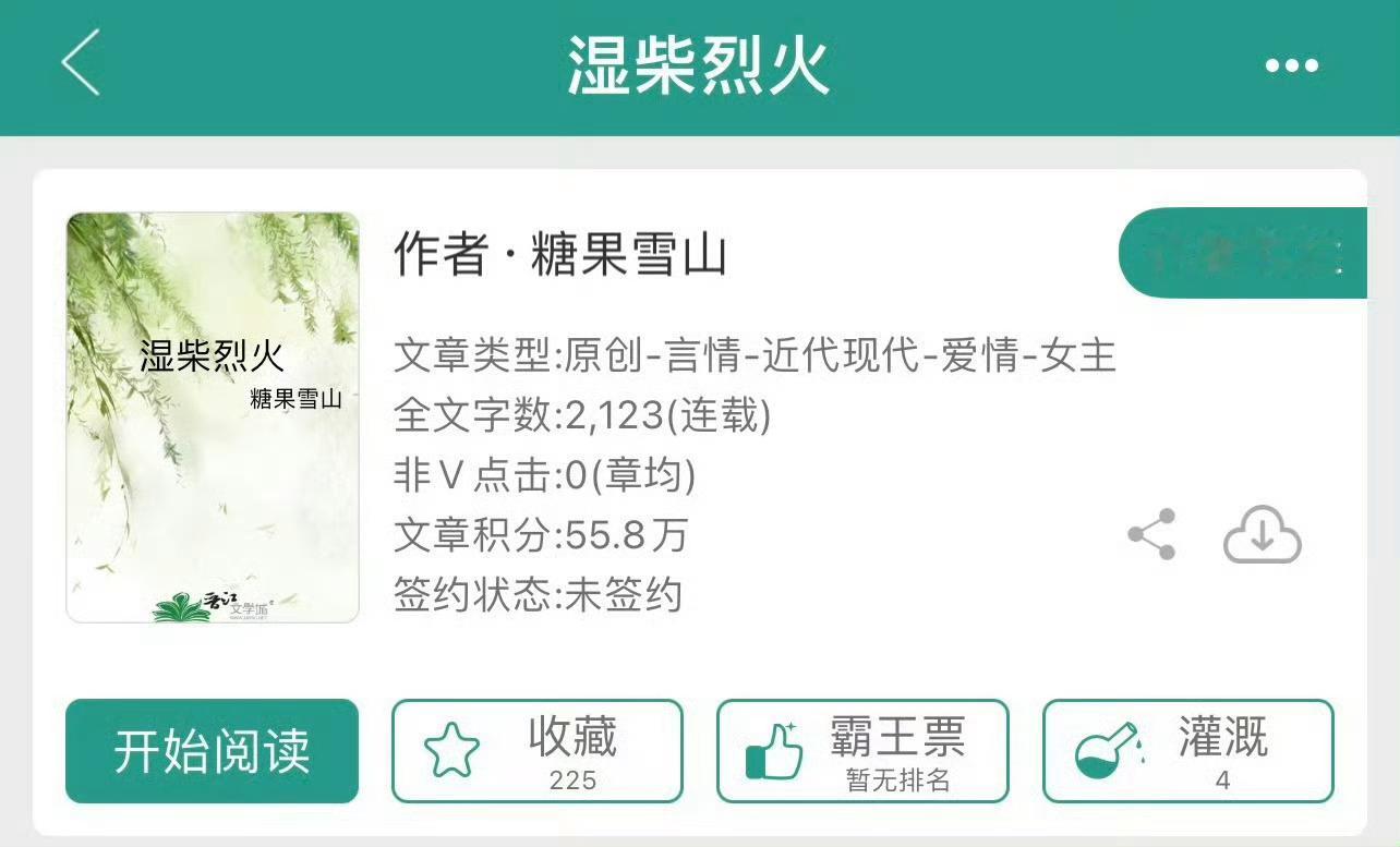 小说推荐：《湿柴烈火》 作者:糖果雪山简评：冷静洒脱女老板vs隐忍帅气建筑师，熟