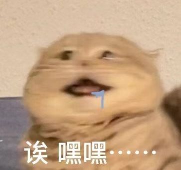 晚安💤 