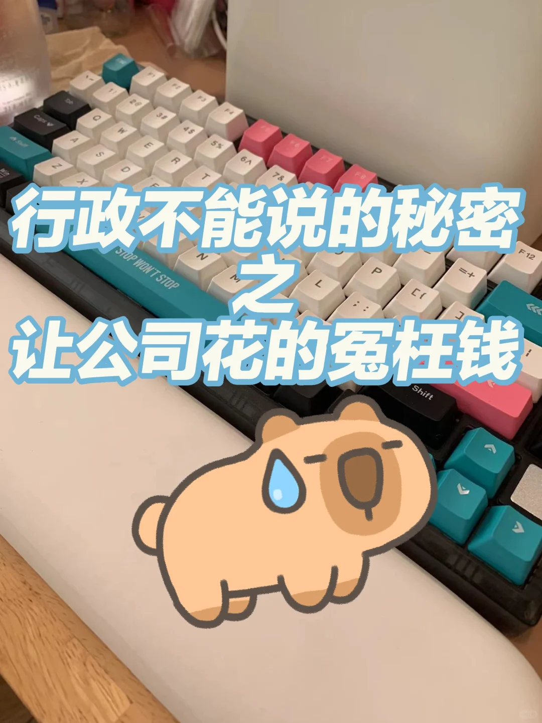 行政都让公司花过一些冤枉钱吧😏😏