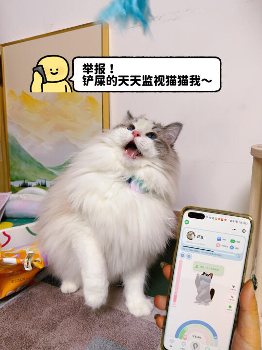 我承认，我有猫猫分离焦虑啊！