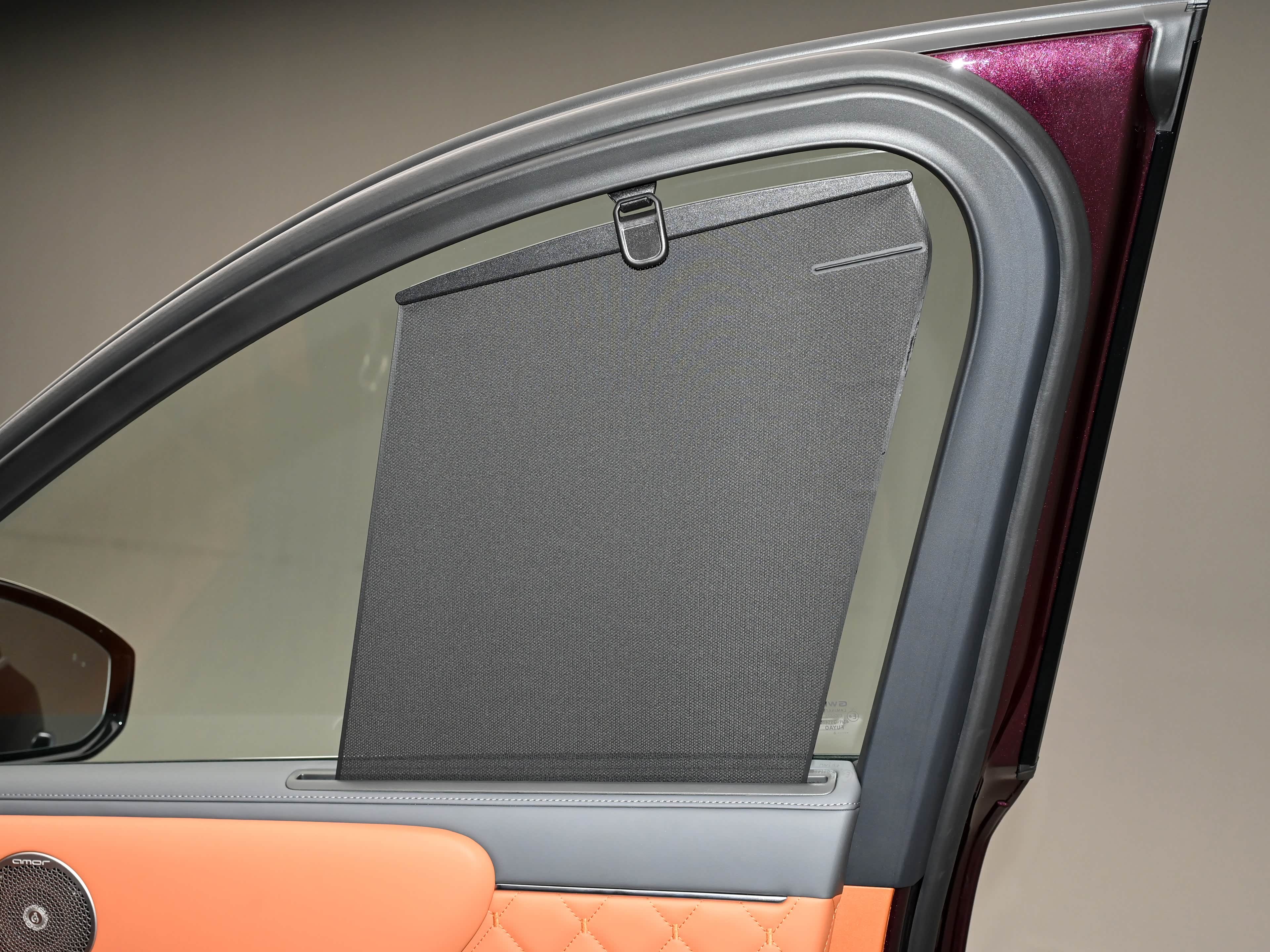 魏牌V9X前排竟然有遮阳帘？这个想法很独特，真是第一次见如果前排玻璃没有贴膜，或