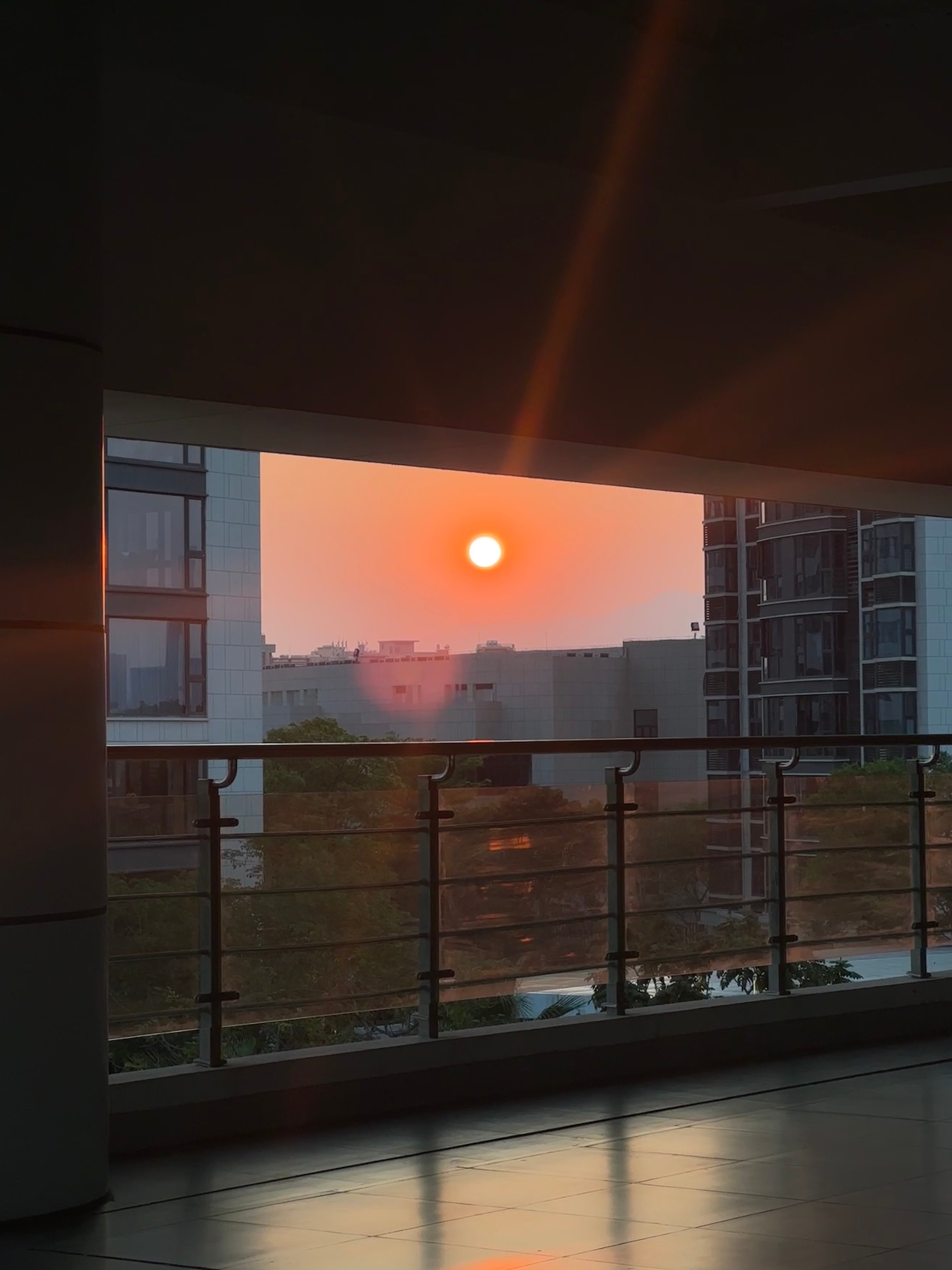 上个月开始工作了时隔两年多没有进入常规职场！确实有些不习惯 从去新疆开始自由职业