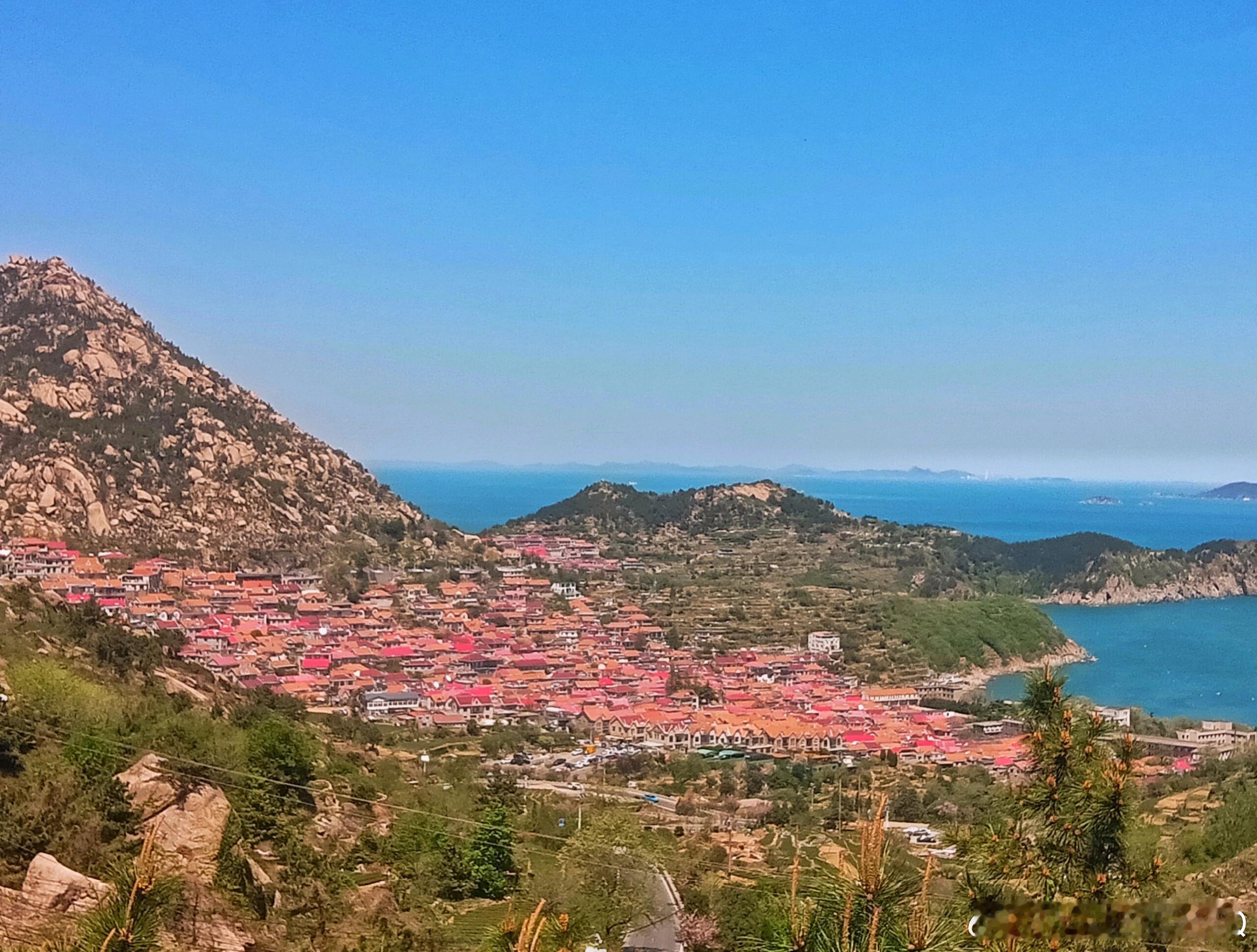 2026青岛马拉松中签率不足一成青马报名人数较上届暴涨40.8% 青岛马拉松太火