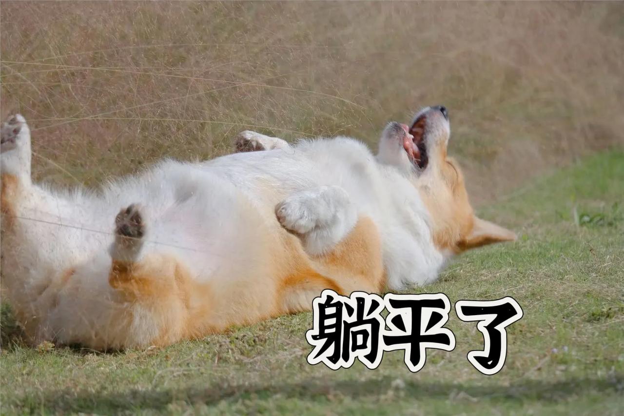 对于你现在的生活状态，给我两个字躺平，没有大的追求，大一点就成了奢望，就慢慢耕耘