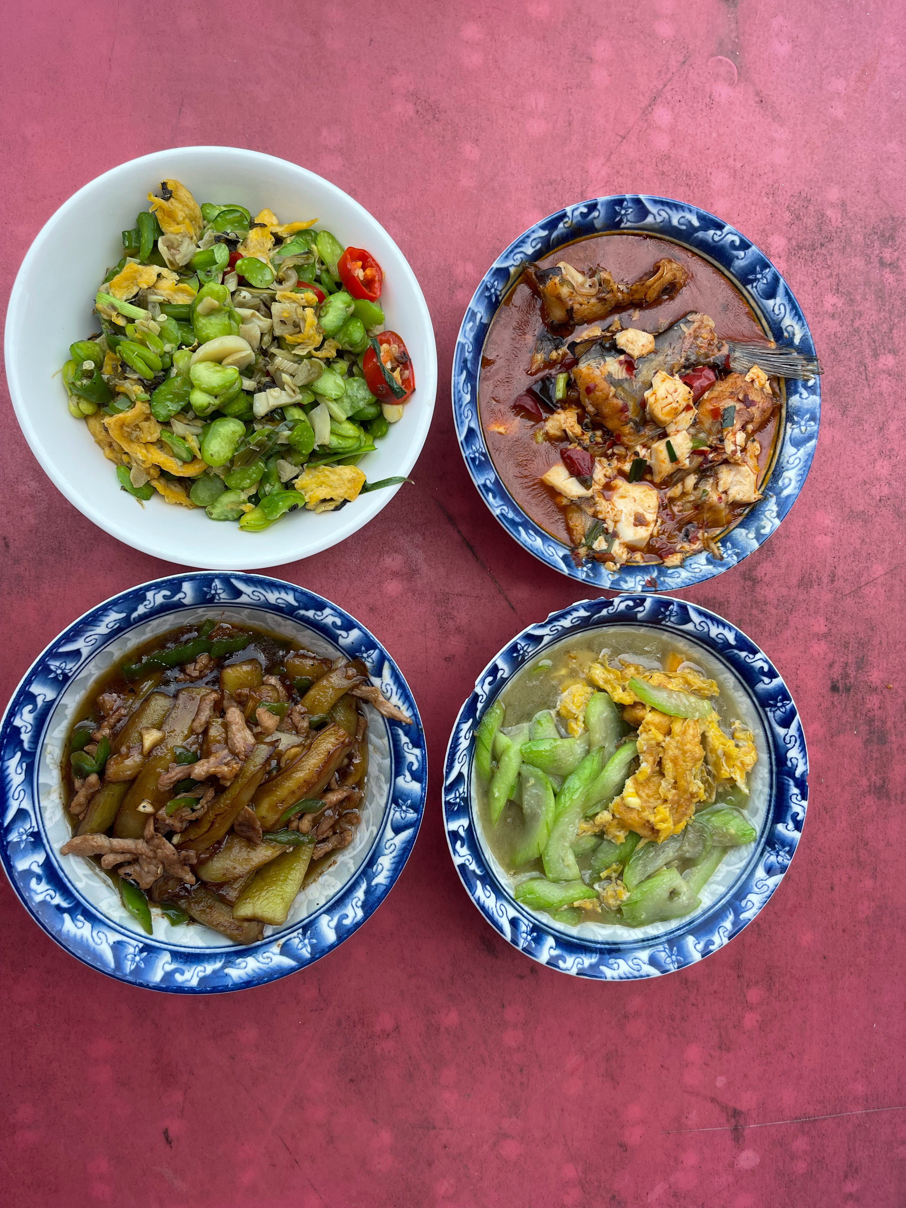 昨天发现的苍蝇馆子，今天中午我们三个人四个菜，一起58元，你们觉得怎么样呢？发现