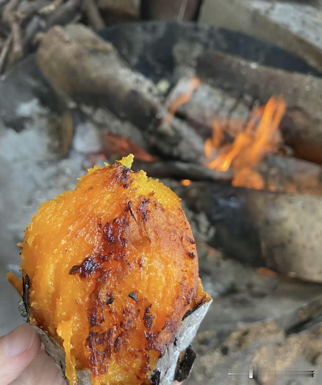 昨天的流量出来了，展现量4695，阅读量105，收益为0，搁以前我会愤愤不平，然