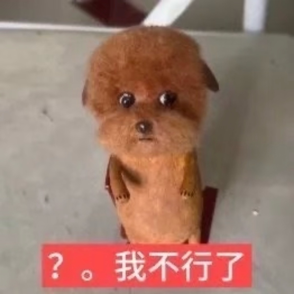 我现在对着首页狂笑这一切都太搞笑了怎么会有这么戏剧性的东西 