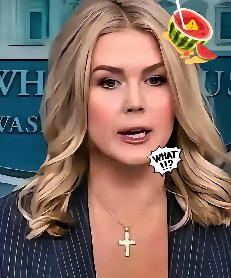快讯！快讯
白宫突然传来消息 ​

9月21日白宫发言人卡罗琳·莱维特对外正式官
