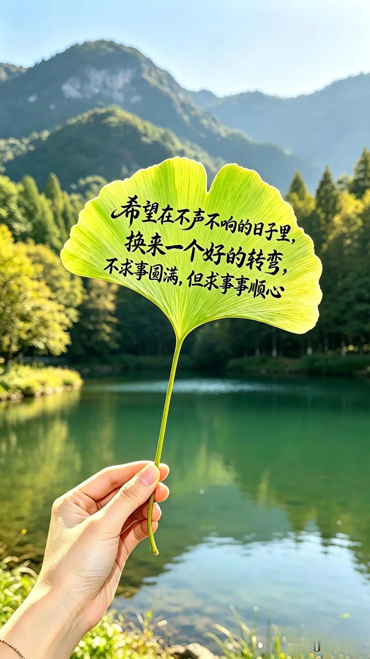 早安，晨光已至，愿烦恼消散，一整天自在欢喜。