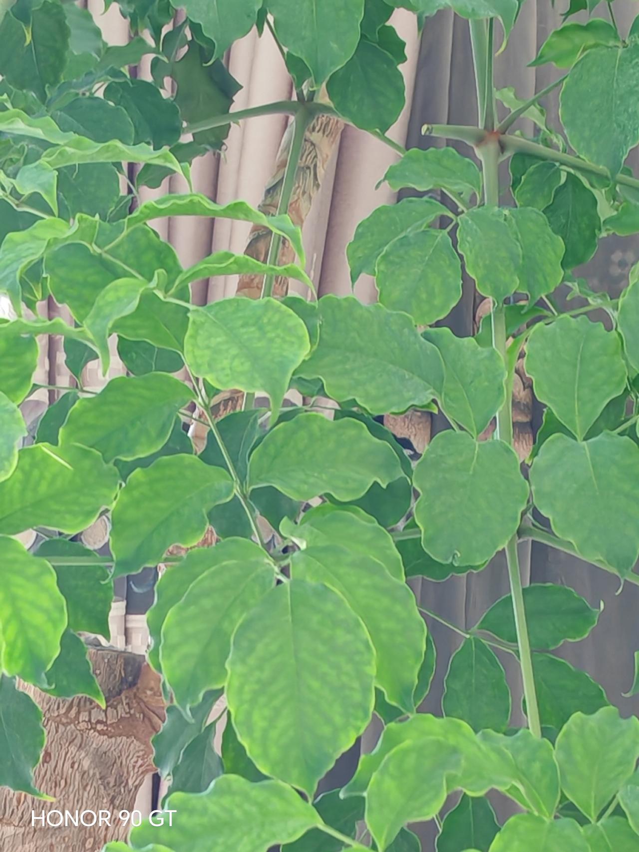 春天来了，万物复苏。