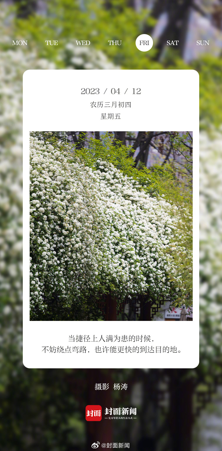 #小封日历#  早安！#盼星星盼月亮盼到周五# 起床请举手[举手] ​​​