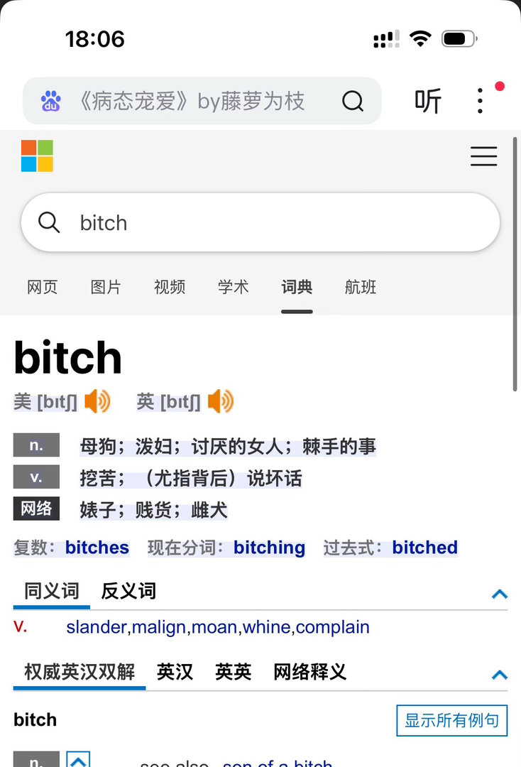 迪丽热巴手机壳从销量2涨到3000多去搜了一下才知道这个单词什么意思👍🏻给粉