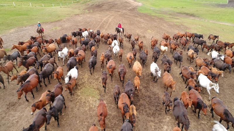 不得不承认，有些诗句对观人之道的刻画着实入木三分。譬如“路遥知马力，日久见人心”