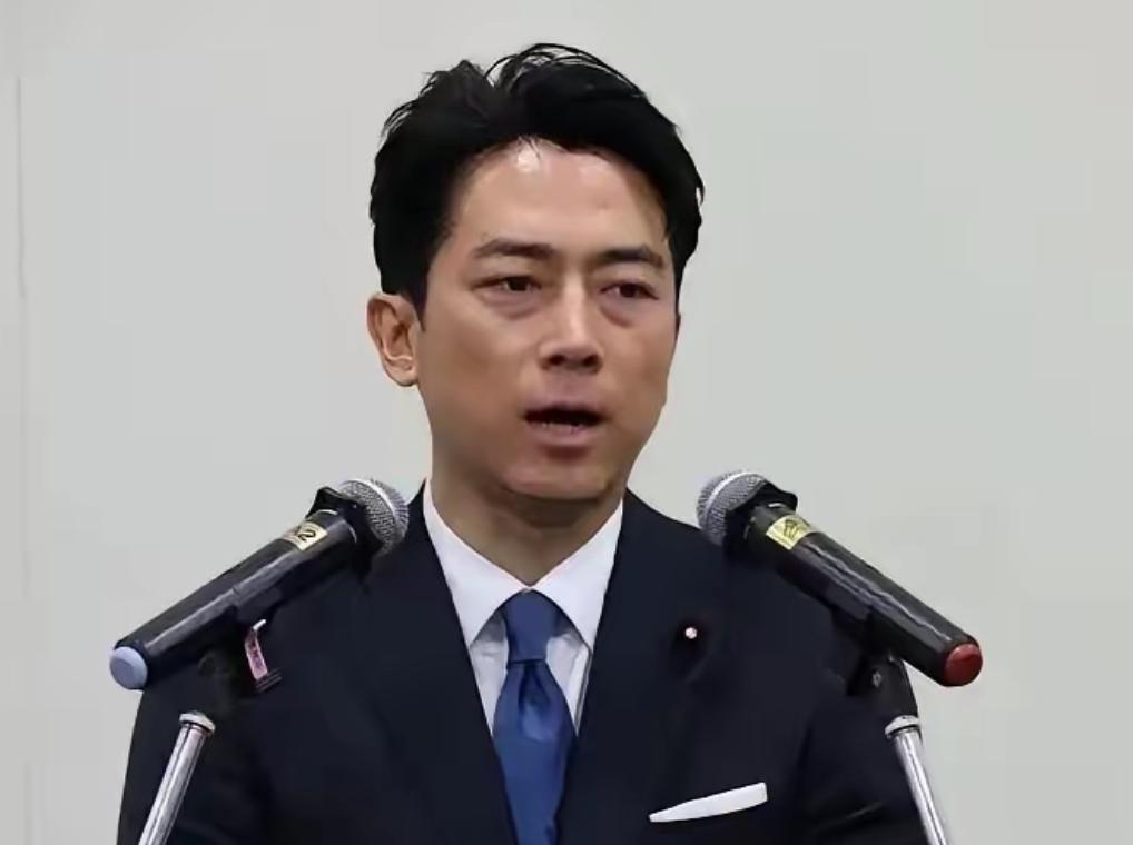 小泉现在很痛苦，因为是他代表日本签署了南海仲裁10周年联合声明，这等于他们认为太