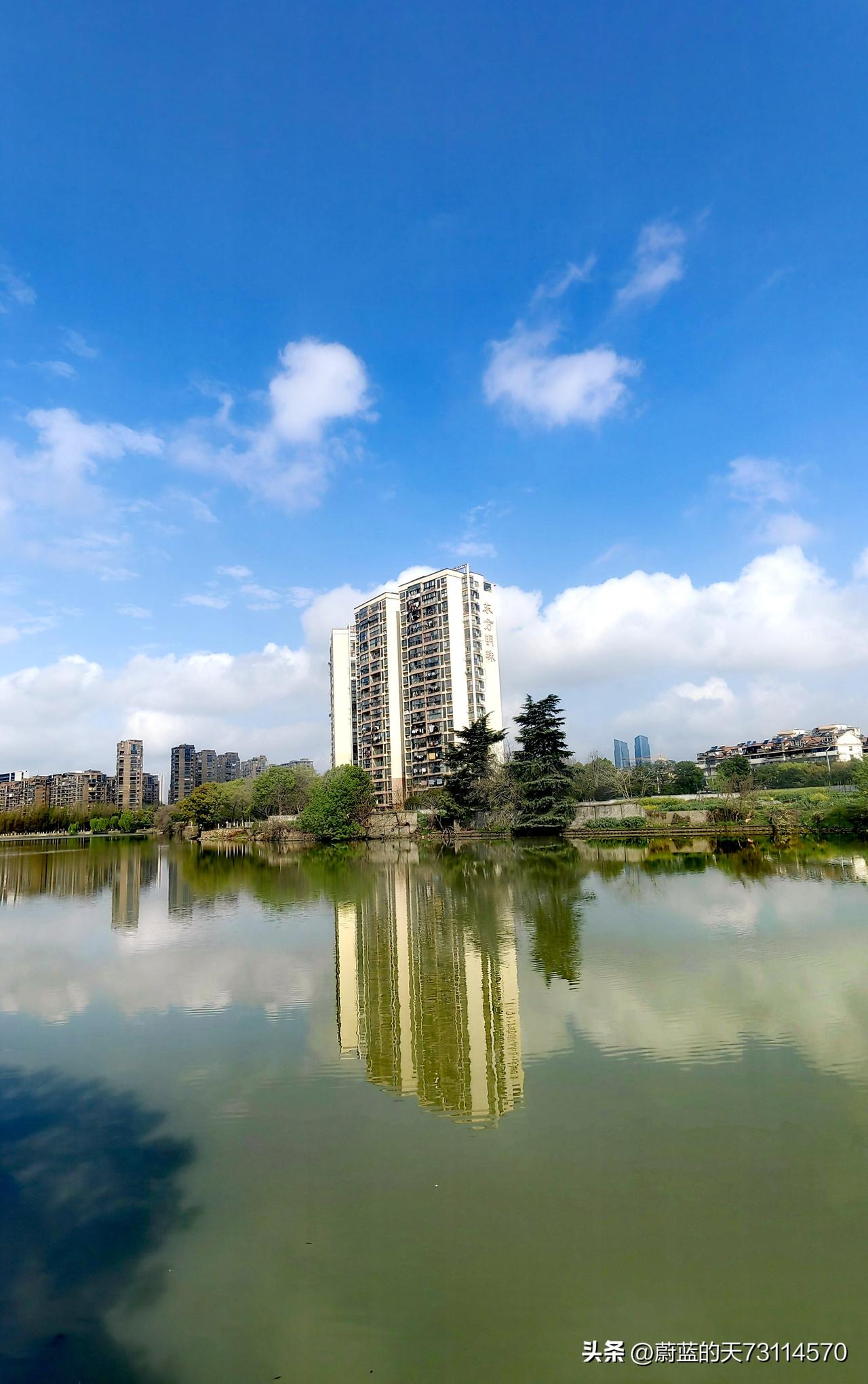 春和景明，都市里的风景美如画（照片系手机拍摄）。