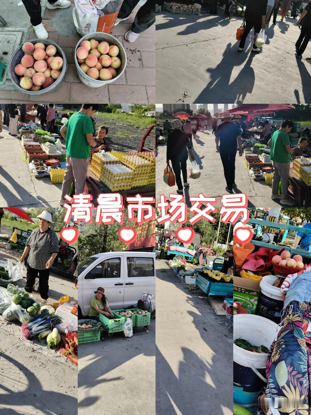 一直热火朝天的兰州市安宁区枣林路市场，最近已经从植物园大门口的对面搬到了猪先生肉
