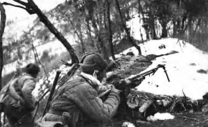 杨勇|实录 | 深藏功名的杨树柏：朝鲜战场一个人的阻击战