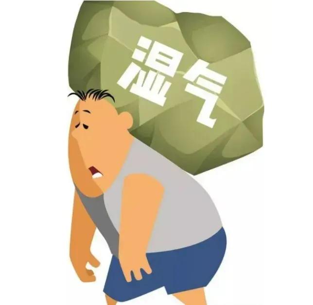 湿气无处不在，一旦侵入人体，就可能引发各种疾病。医圣张仲景为我们提供了治疗湿气的