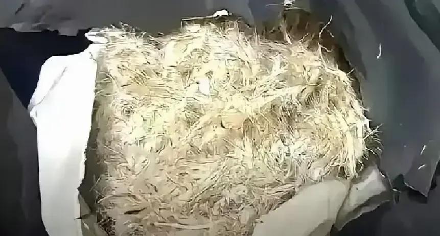 老张拍视频说冬天不买羽绒服，只穿三百块的丝棉服。
我看完直接翻出我妈三十年前缝的