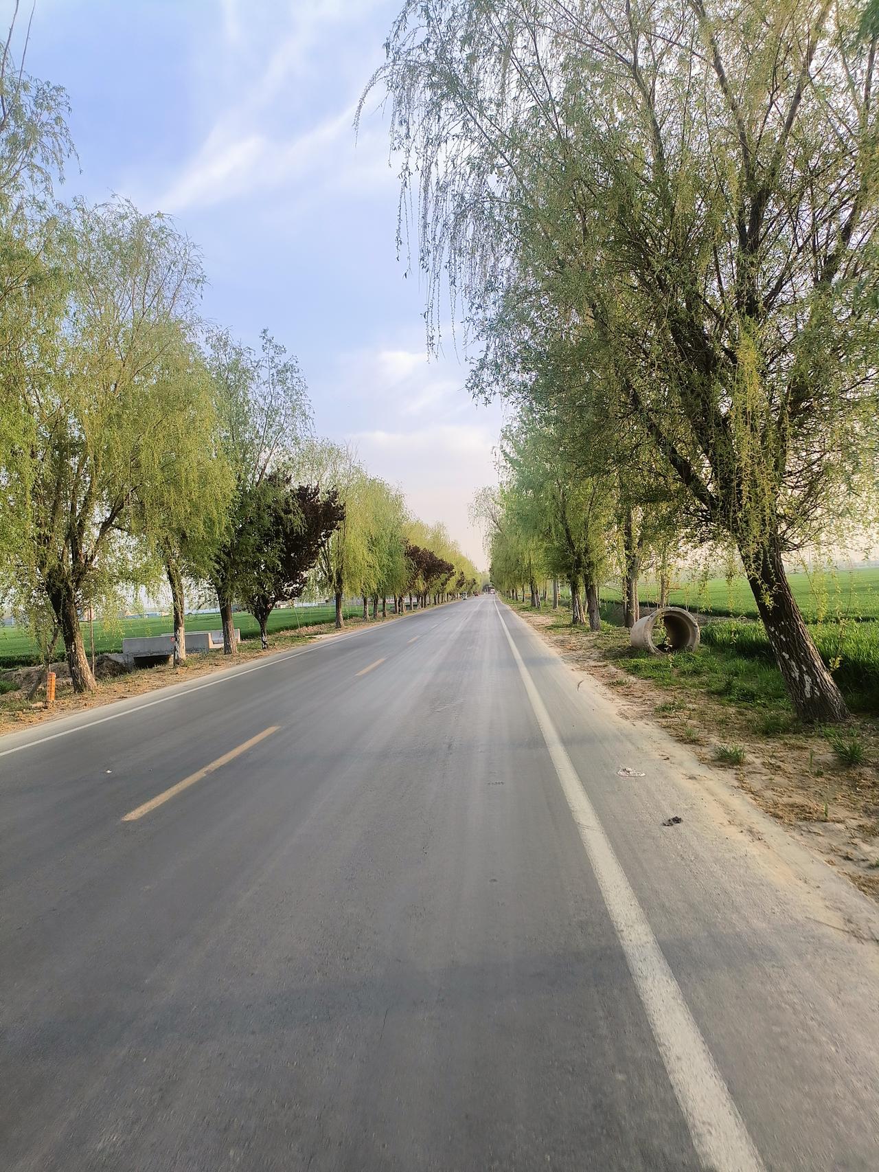 “白吭气”——很多厉害的人都学会了这三个字


“白吭气。”
你听不懂？那你就不