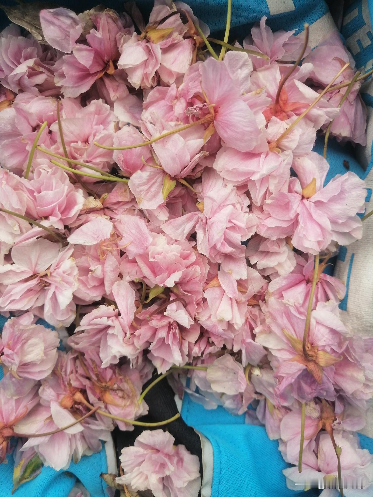 你会每天坚持发作品吗明知道在这里写文章不可能发财，但是对生活的感悟、对人生的的认