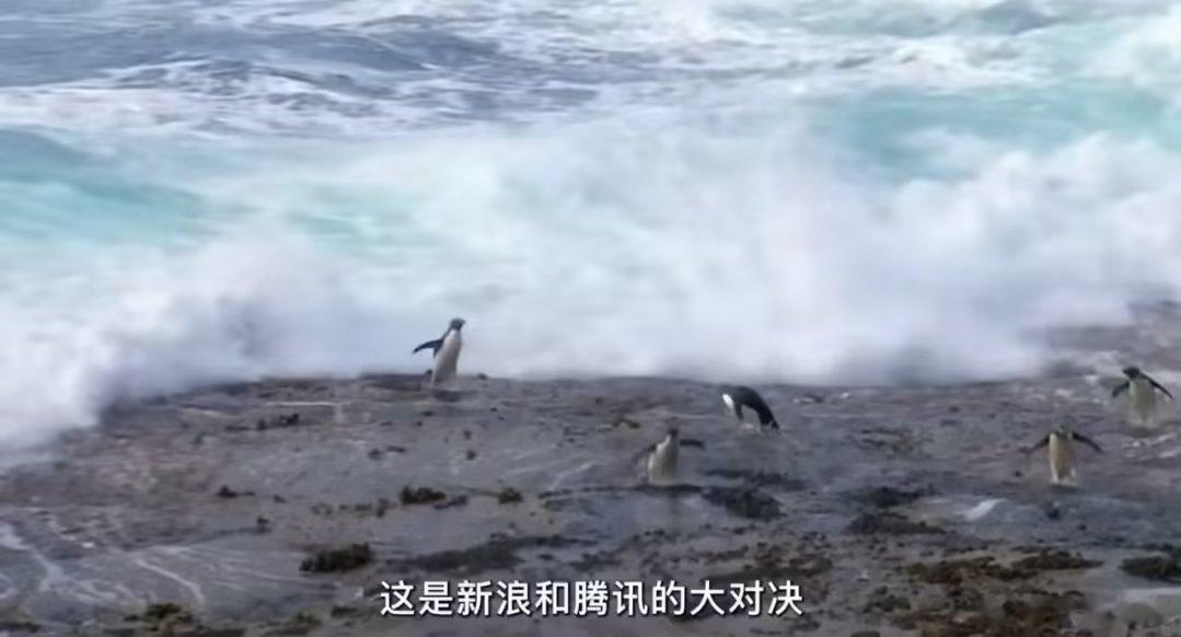 什么b话 ​​​