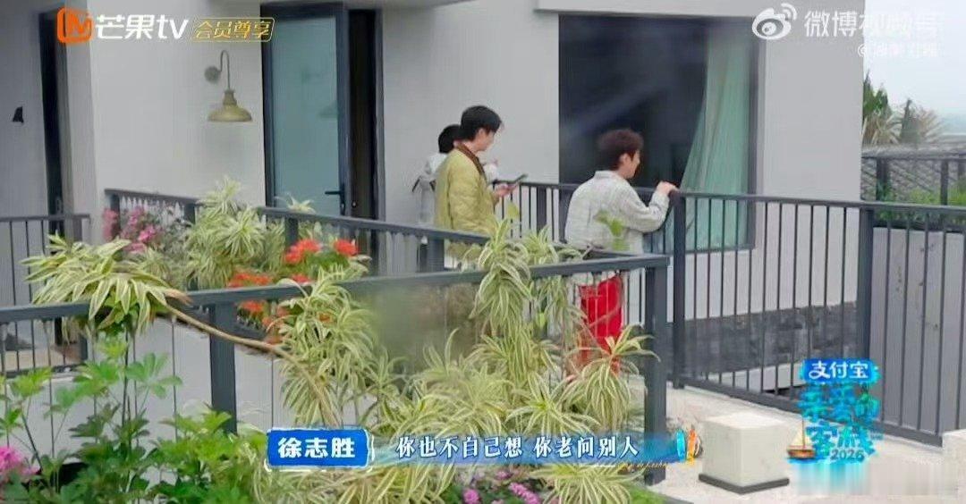 沈月你们别依赖AI 沈月独立自主拒绝AI，说你们别依赖AI，何炅悉心教导述职报告