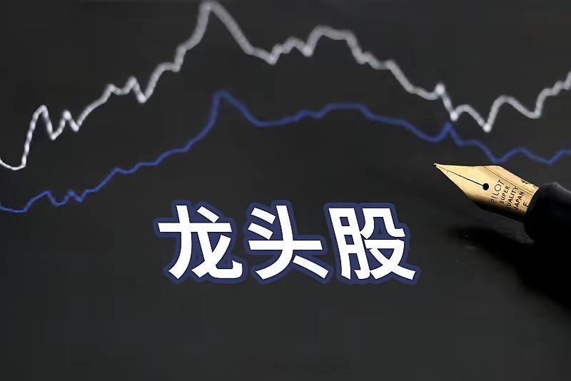 龙头的定义和特征是什么？别再把涨幅最高的个股直接等同于龙头股，不少刚入市的新手都