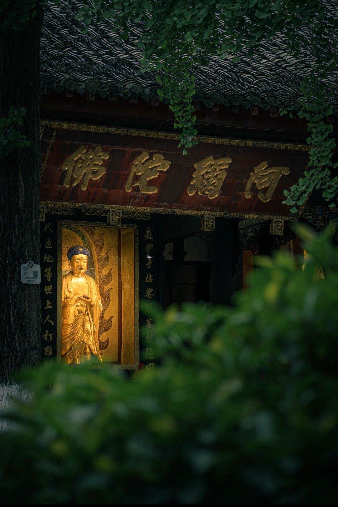 拜莲座观音，求清净，也求诸事顺遂无忧。 ​​​