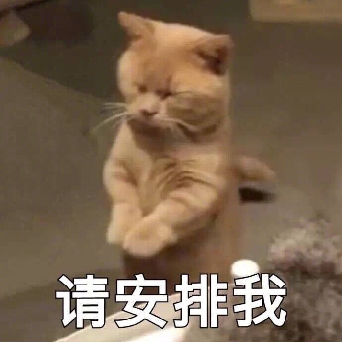 留下你的姓名缩写，让机智的网友们给你取个有趣的名字_________ 