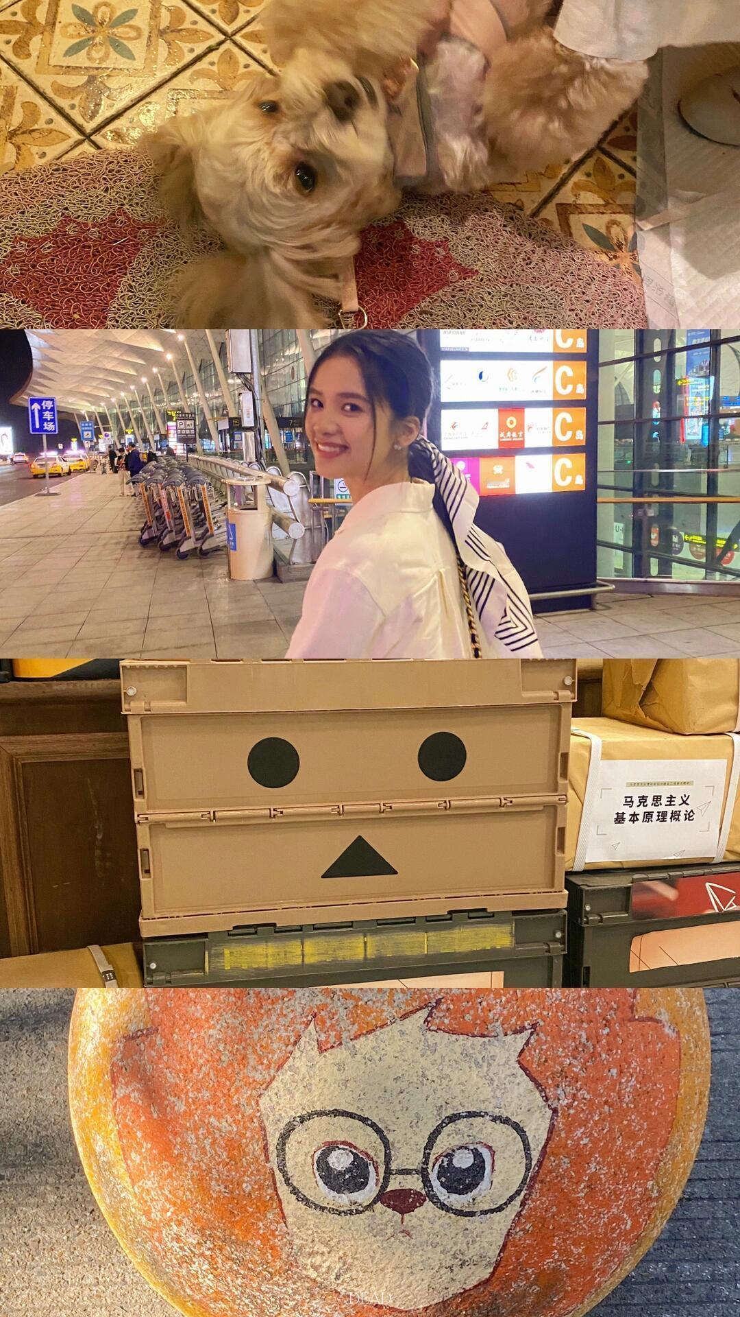 张婧仪拼接壁纸๑•͈ᴗ•͈ ♡ 
