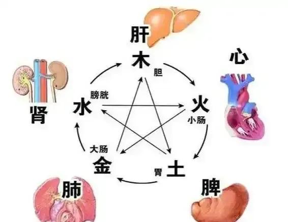 想要知道五脏是否健康，其实看看你的五液就知道了！今天就来教大家如何通过观察五液来