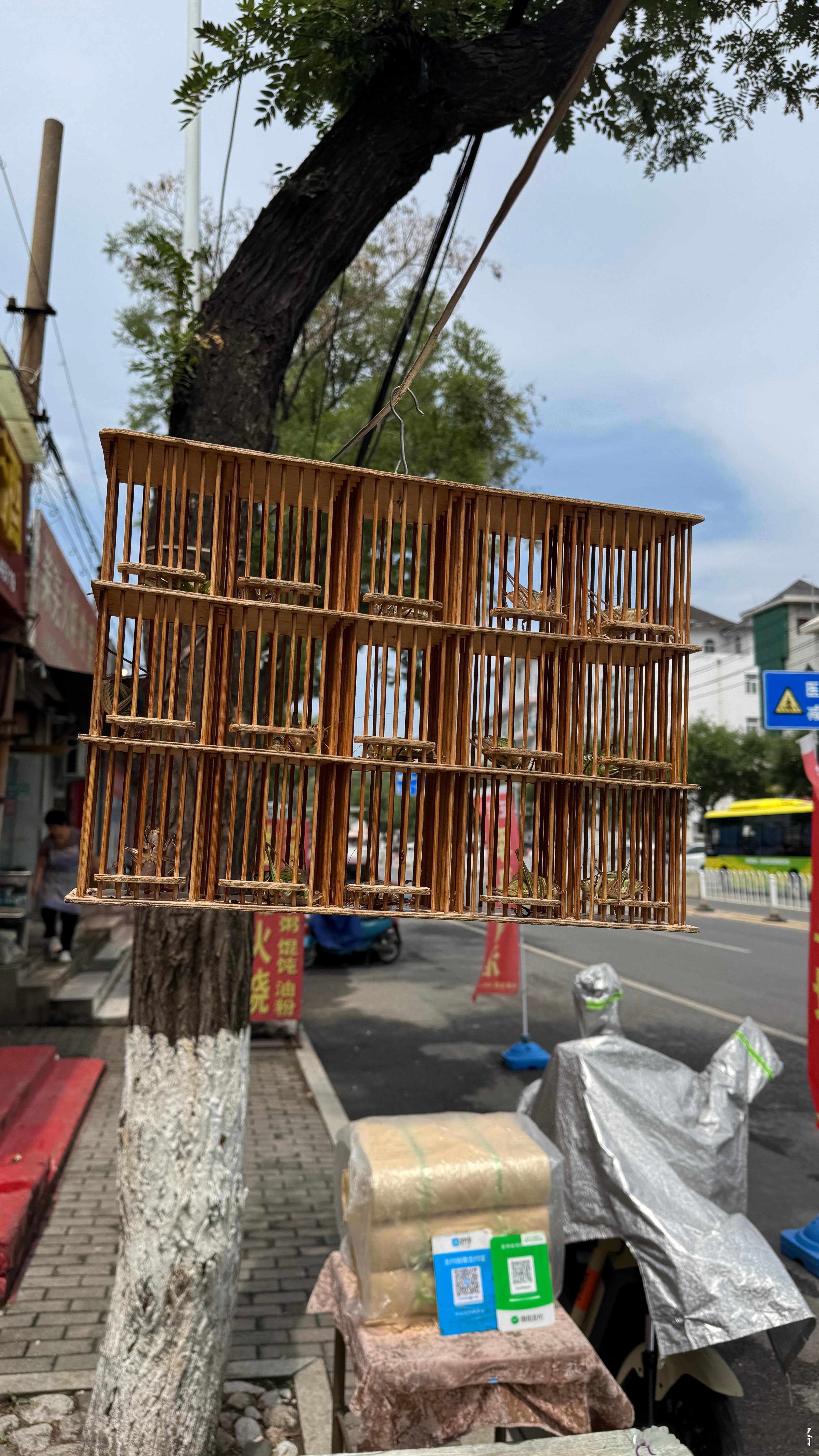 蛐蛐联排别墅