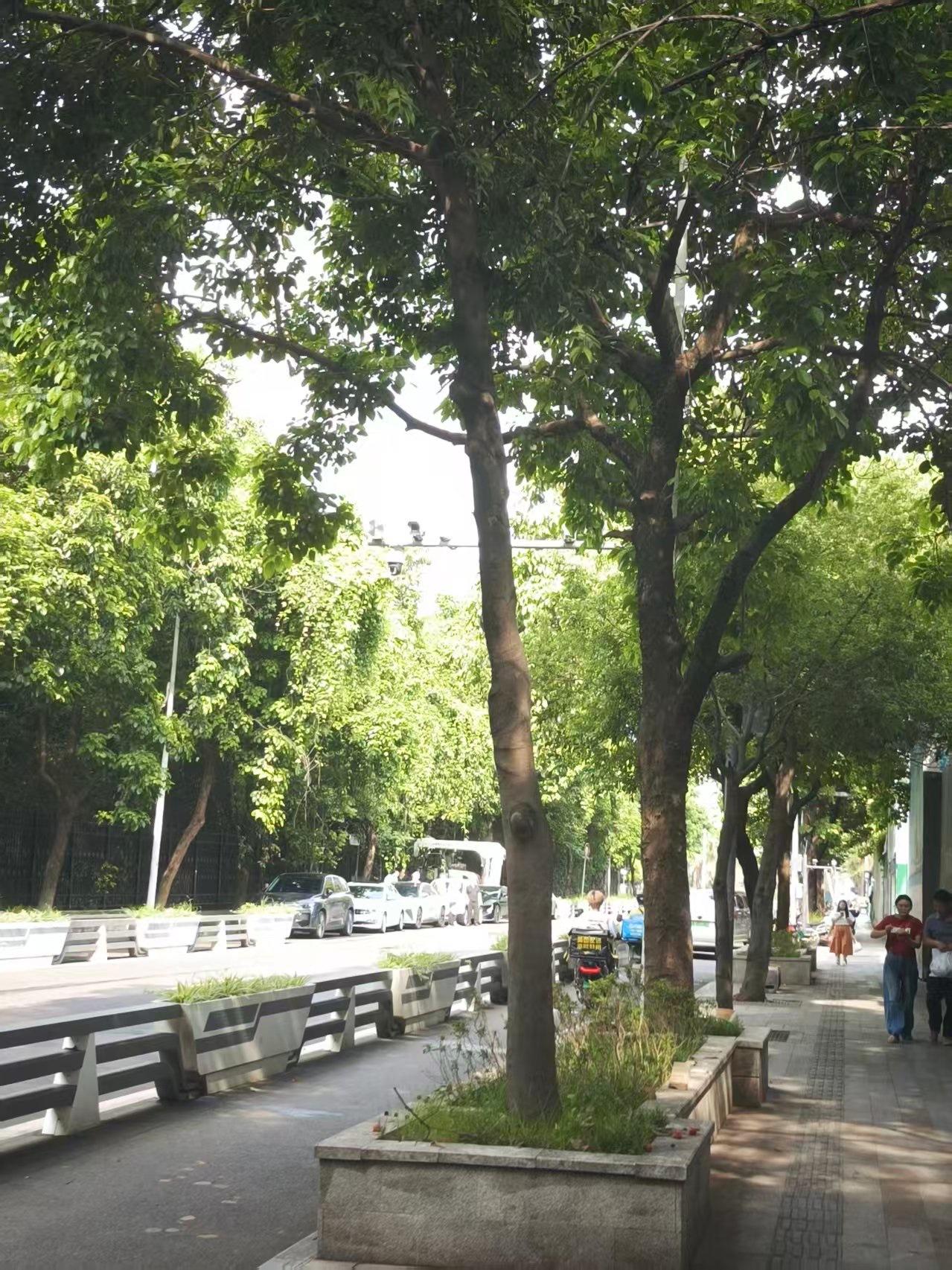 没钱你会慌吗