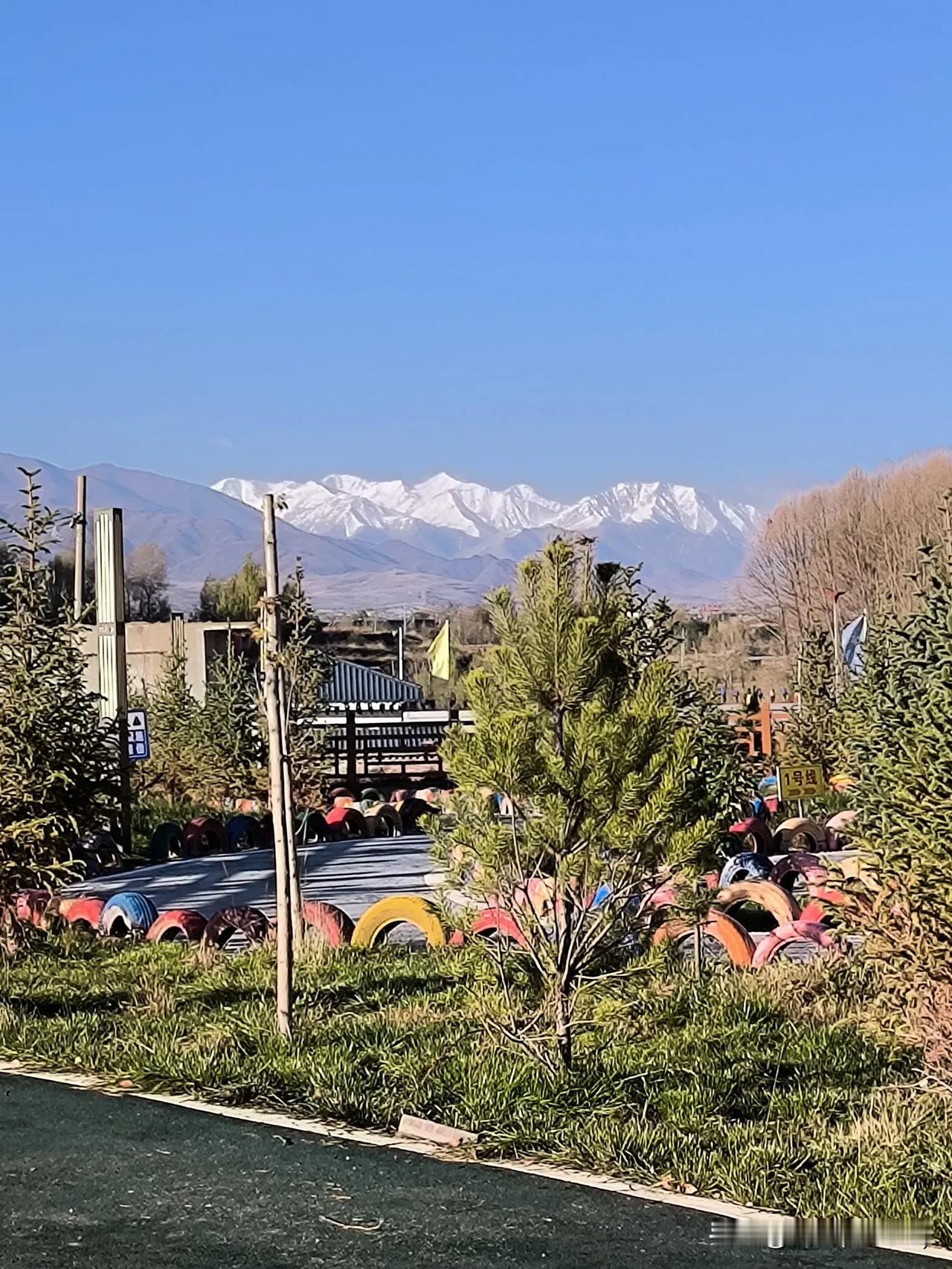 趁着酒劲还在，我就是想问问，生于这人世间，何罪之有，人到中年，万般无奈，一个人连