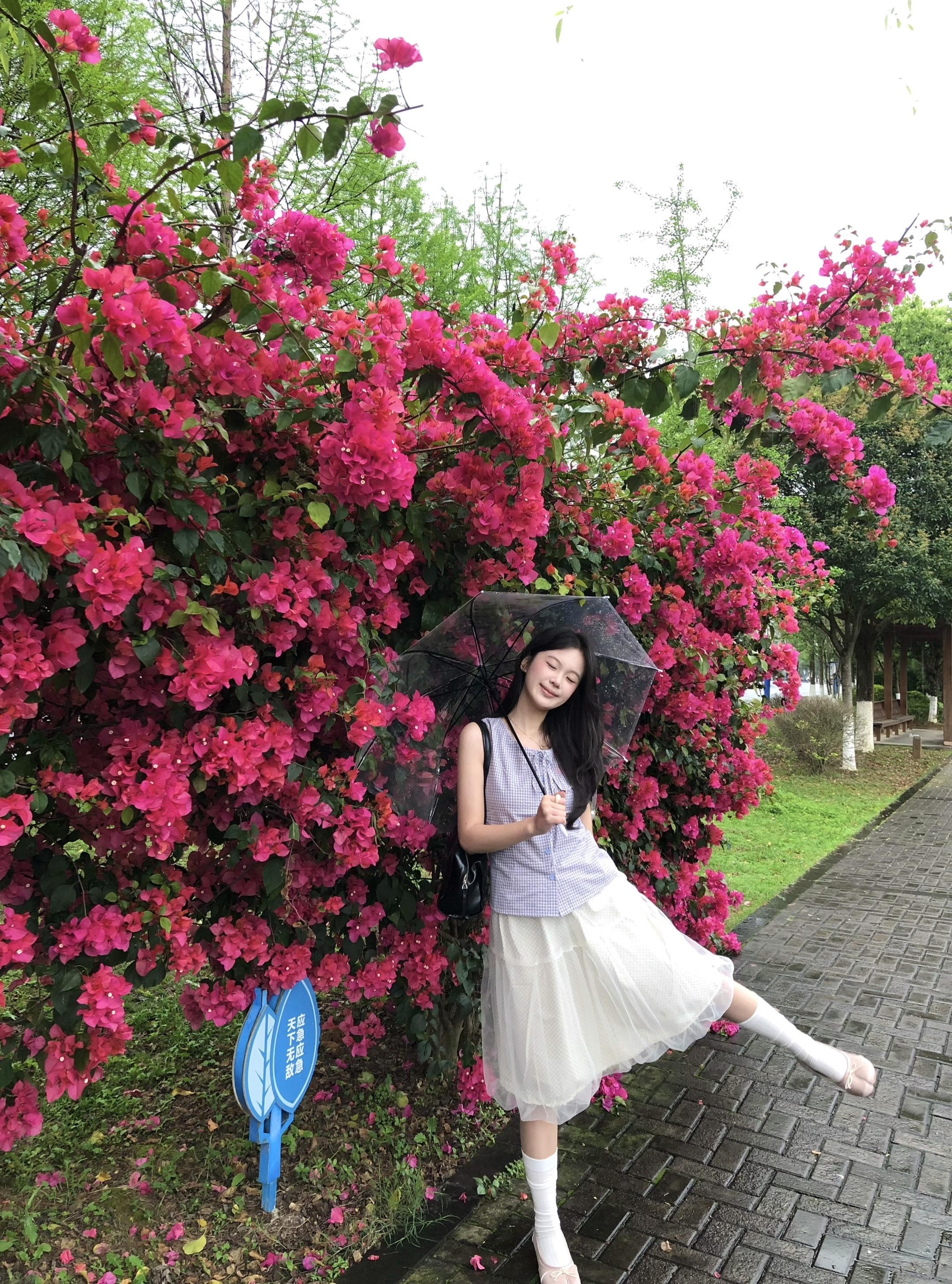 小雨知时节