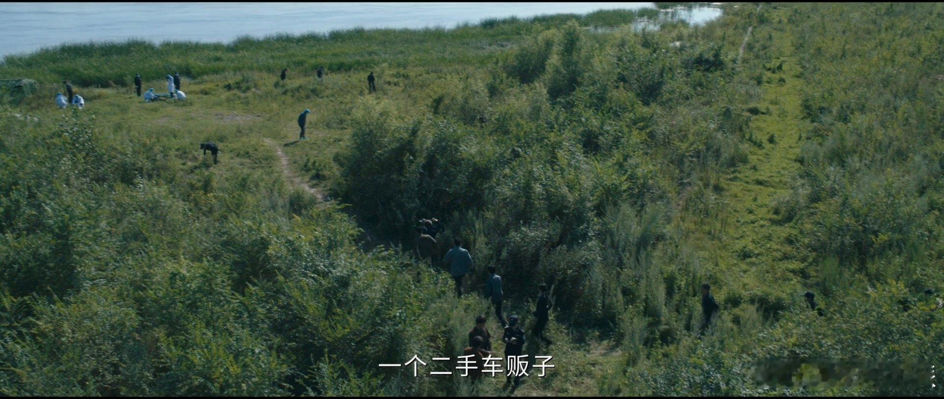低智商犯罪伏笔低智商犯罪一场荒诞离谱的抢劫爆炸拉开序幕，却意外揭开尘封已久的陈年