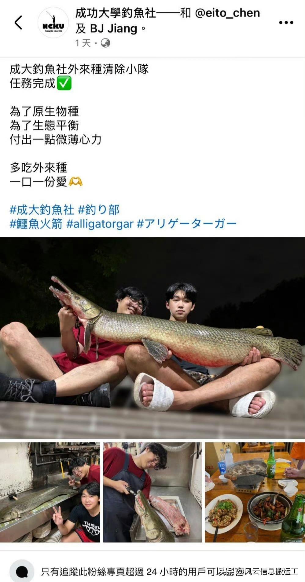 台湾省台北228公园内一条被视为“吉祥物”的鳄雀鳝被成功大学两名学生钓上来吃了，