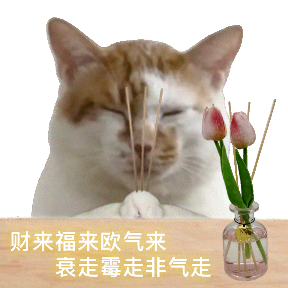 在上班和上学之间选择了拜关公 年轻人的清醒选择！不卷上班上学，先拜关公沾正能量，