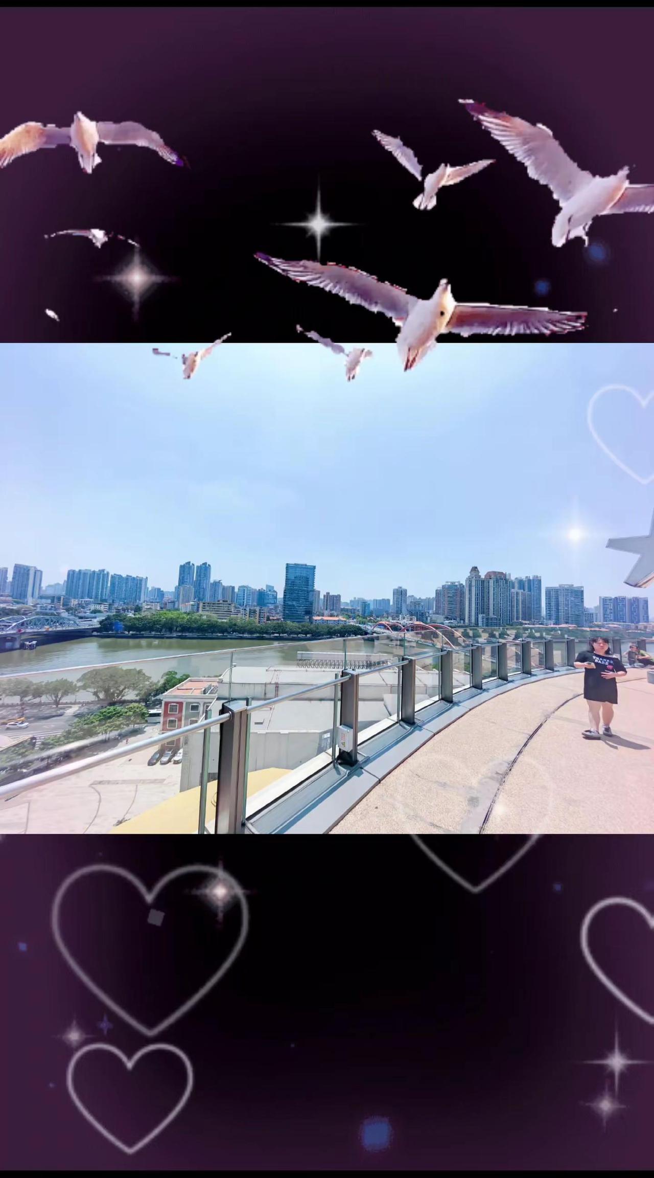 江边网红打卡地分享