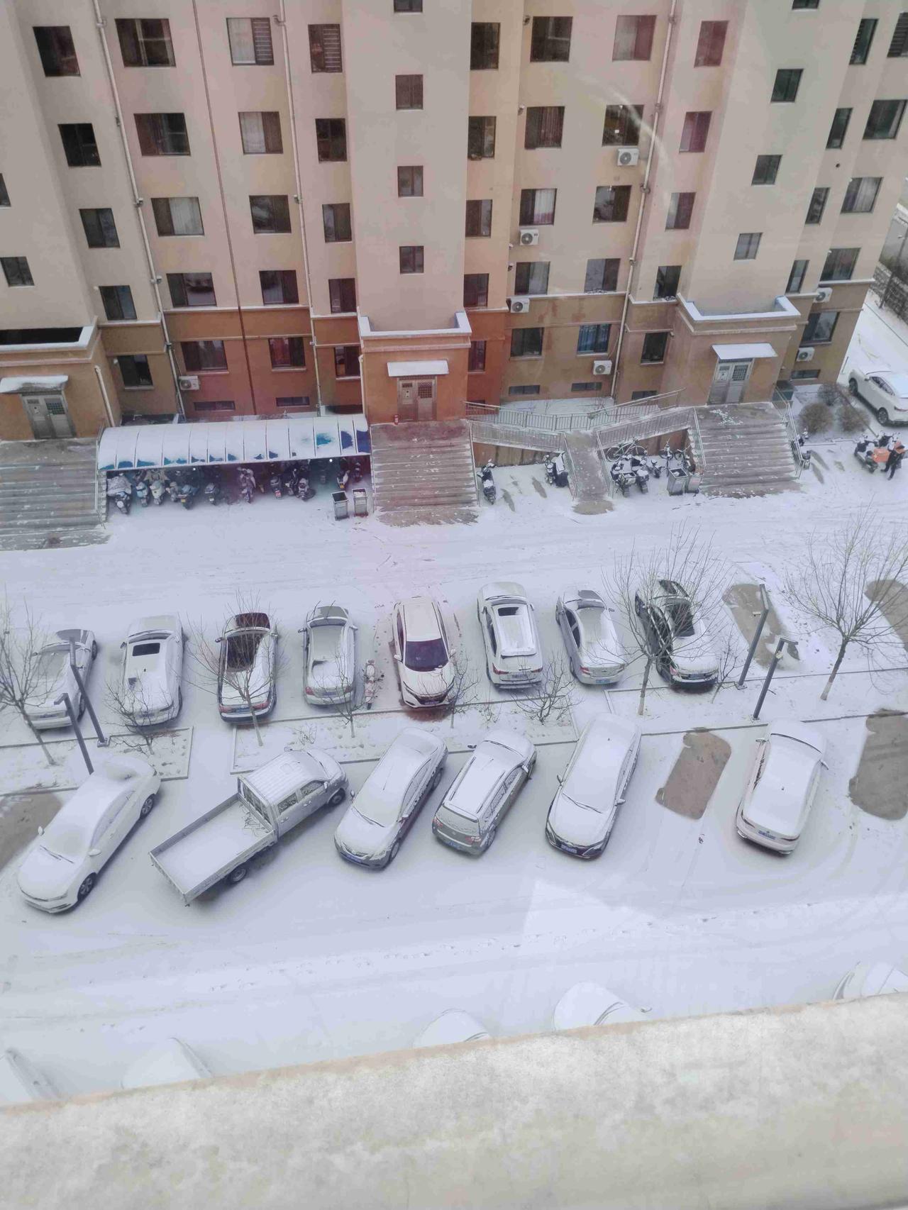 我的今日状态：😁轻松愉快
我这里的天气：❄️下雪
今天又下雪了，比昨天下的大！