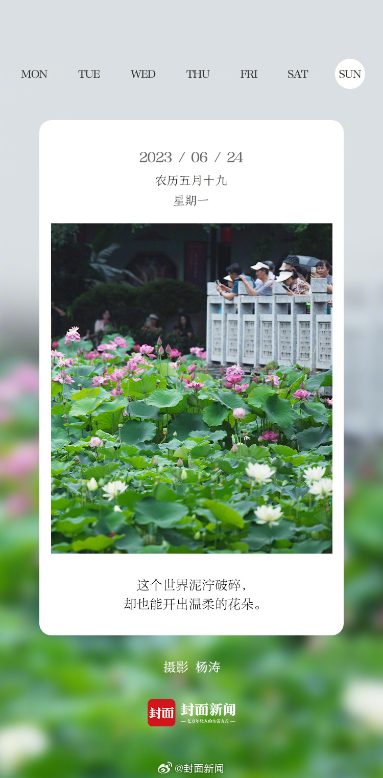 #小封日历# 早安，今天周一！你是几点醒的？[哈欠] ​​​