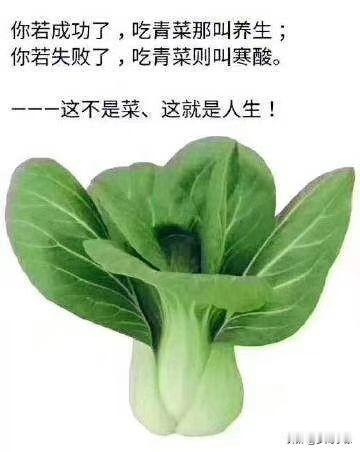 想要成就更好的自己
请先激发自己的潜能，
这世界变化太快，
真正能够给我们带来安