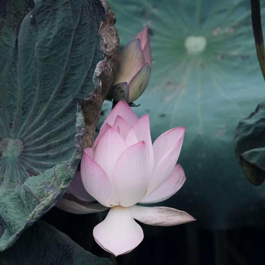 给2026的自己写句话愿2026的我，在股票和ETF里稳赚收益，在烟火日常里收获