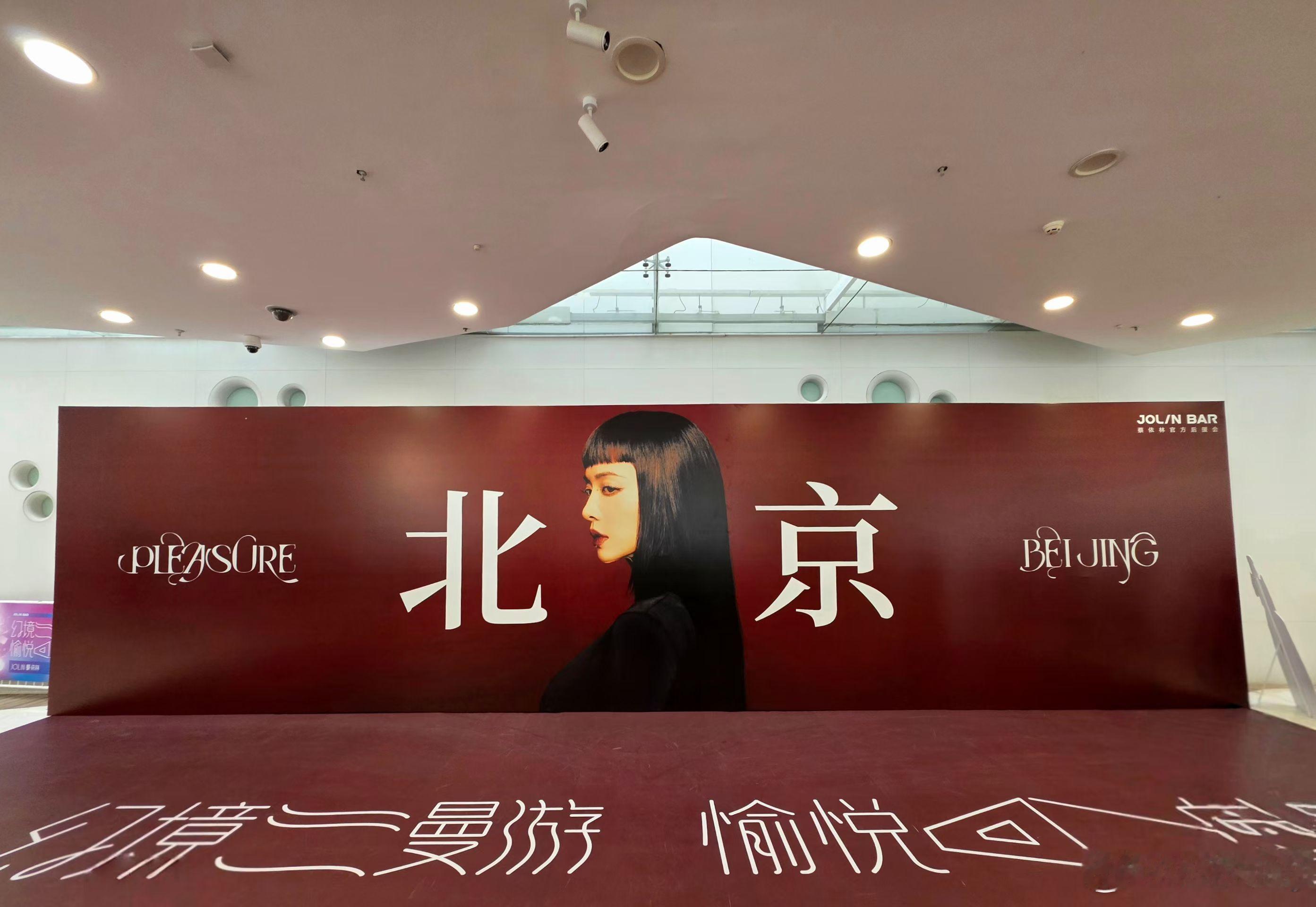 家有侄子，人到中年不结婚不生娃，努力工作认真追星，蔡依林演唱会到哪他到哪不理解但