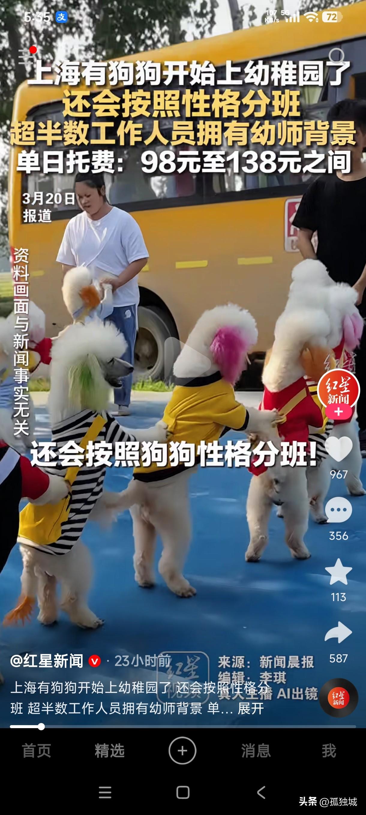 小孩子上的幼儿园倒闭的越来越多，没想到这狗子上的幼稚园又火起来了，难道那些人不生